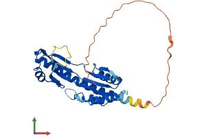 Protein Structure (PS) image for tRNA-YW Synthesizing Protein 3 Homolog (TYW3) (AA 1-257) protein (His tag) (ABIN7558850)