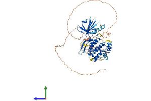 AlphaFold protein structure predicition of Mouse Recombinant Stk33 Protein, UniprotID Q924X7 (STK33 Protein (AA 1-491) (His tag))