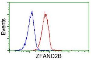 Image no. 1 for anti-Zinc Finger, AN1-Type Domain 2B (ZFAND2B) antibody (ABIN1501805) (ZFAND2B antibody)