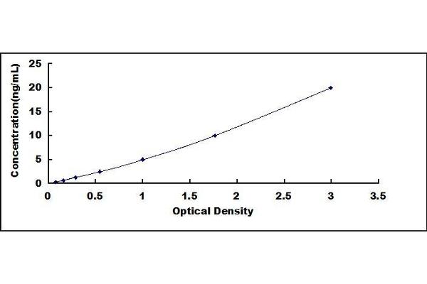 PGAM1 ELISA Kit