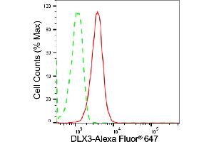 Flow cytometric analysis of DLX3 expression in C2C12 cells using DLX3 antibody (ABIN7798357), 1:(ABIN7798691). (Recombinant DLX3 antibody)