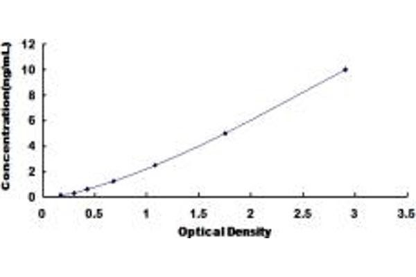 MAT2A ELISA Kit