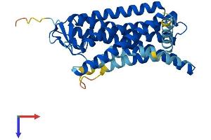 AlphaFold protein structure predicition of Human Recombinant OR8J1 Protein, UniprotID Q8NGP2 (OR8J1 Protein (AA 1-316) (His tag))