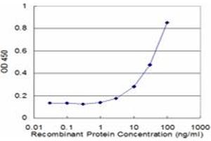 Detection limit for recombinant GST tagged SERPINA3 is approximately 3ng/ml as a capture antibody. (SERPINA3 antibody  (AA 25-423))