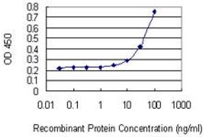Detection limit for recombinant GST tagged CDC2L6 is 1 ng/ml as a capture antibody.