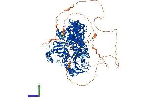 Protein Structure (PS) image for SEC24 Family, Member D (S. Cerevisiae) (SEC24D) (AA 1-1032) protein (His tag) (ABIN7555359)