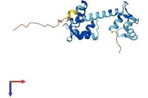 Calmodulin-Like 6 (CALML6) (AA 1-181) protein (His tag)