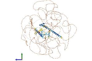 AlphaFold protein structure predicition of Human Recombinant ZNF804B Protein, UniprotID A4D1E1 (ZNF804B Protein (AA 1-1349) (His tag))