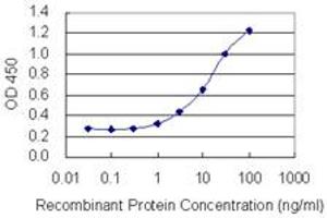 Detection limit for recombinant GST tagged ZBTB20 is 0. (ZBTB20 antibody  (AA 451-542))