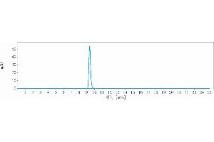 The purity of Anti-RGMC / HFE2 Reference Antibody (DISC-0974) is 98.