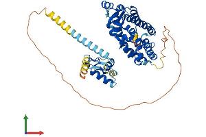 AlphaFold protein structure predicition of Human Recombinant RORB Protein, UniprotID Q92753 (RORB Protein (AA 1-470) (His tag))