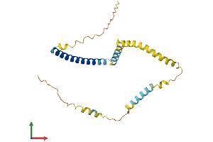 Protein Structure (PS) image for Tumor Protein D52-Like 1 (TPD52L1) (AA 1-204) protein (His tag) (ABIN7562420)