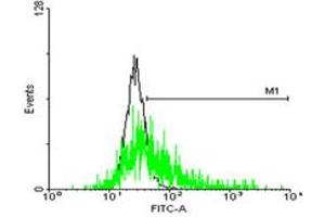 FACS analysis of negative control 293 cells (Black) and GLIPR1L1 expressing 293 cells (Green) using GLIPR1L1 purified MaxPab mouse polyclonal antibody. (GLIPR1L1 antibody  (AA 1-233))