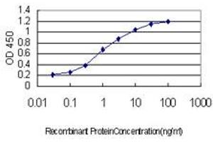 Detection limit for recombinant GST tagged CHD4 is approximately 0. (CHD4 antibody  (AA 1632-1730))