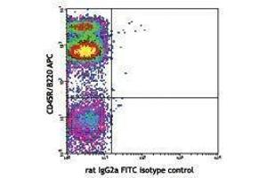Flow Cytometry (FACS) image for anti-Glutamyl Aminopeptidase (Aminopeptidase A) (ENPEP) antibody (FITC) (ABIN2661962) (ENPEP antibody  (FITC))