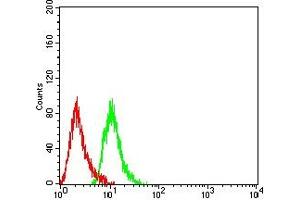 Flow cytometric analysis of THP-1 cells using CD300C mouse mAb (green) and negative control (red). (CD300c antibody  (AA 21-183))