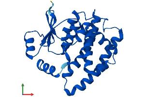 Protein Structure (PS) image for Glutathione S-Transferase alpha 1 (GSTA1) (AA 1-222) protein (His tag) (ABIN7548106)