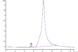 The purity of Human PDGFD is greater than 95 % as determined by SEC-HPLC. (PDGFD Protein (AA 19-370) (His tag))