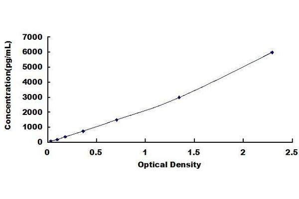 PTX3 ELISA Kit