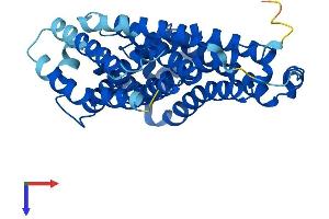 AlphaFold protein structure predicition of Human Recombinant TM6SF1 Protein, UniprotID Q9BZW5 (TM6SF1 Protein (AA 1-370) (His tag))