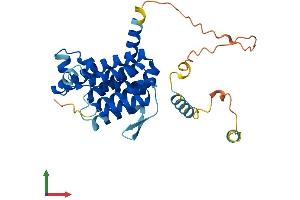 AlphaFold protein structure predicition of Mouse Recombinant Rhbdd1 Protein, UniprotID Q8BHC7