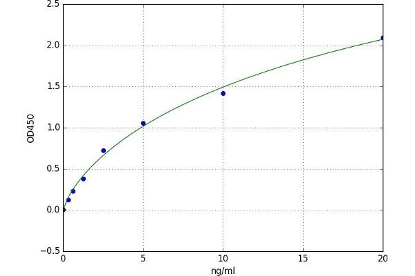 MAGAB ELISA Kit