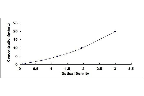 RCAN1 ELISA Kit