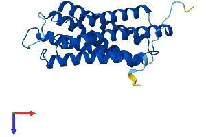AlphaFold protein structure predicition of Human Recombinant DRAM1 Protein, UniprotID Q8N682