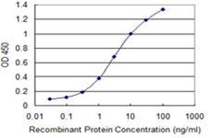 Detection limit for recombinant GST tagged WIPI1 is 0. (WIPI1 antibody  (AA 348-445))