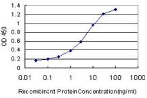 Detection limit for recombinant GST tagged DIAPH1 is approximately 0. (DIAPH1 antibody  (AA 921-1024))
