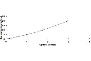 Typical standard curve (NR4A2 ELISA Kit)