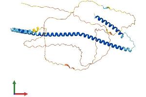 AlphaFold protein structure predicition of Human Recombinant CENPU Protein, UniprotID Q71F23 (MLF1IP Protein (AA 1-418) (His tag))