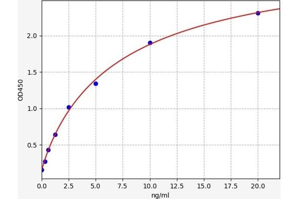 Neuroligin 4 ELISA Kit
