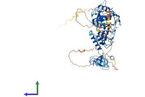 AlphaFold protein structure predicition of Human Recombinant CLIP3 Protein, UniprotID Q96DZ5
