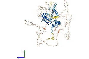 AlphaFold protein structure predicition of Human Recombinant CSRNP1 Protein, UniprotID Q96S65 (AXUD1 Protein (AA 1-589) (His tag))