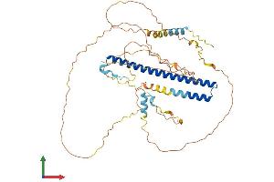 AlphaFold protein structure predicition of Mouse Recombinant Nfil3 Protein, UniprotID O08750