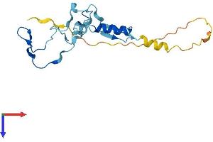 AlphaFold protein structure predicition of Human Recombinant CFAP126 Protein, UniprotID Q5VTH2 (CFAP126 Protein (AA 1-177) (His tag))
