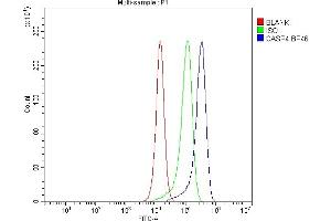 Flow Cytometry analysis of PC-3 cells using anti-Caspase 4 antibody (ABIN5693193). (Caspase 4 antibody  (AA 111-194))