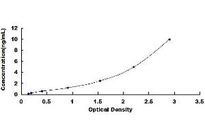 Typical standard curve (Selectin E/CD62e ELISA Kit)