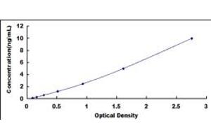 Typical standard curve (SRSF4 ELISA Kit)