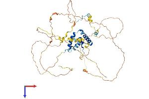 AlphaFold protein structure predicition of Mouse Recombinant Sox8 Protein, UniprotID Q04886 (SOX8 Protein (AA 1-464) (His tag))