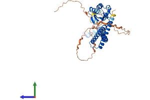AlphaFold protein structure predicition of Human Recombinant VPS37A Protein, UniprotID Q8NEZ2
