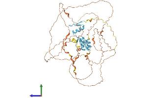 AlphaFold protein structure predicition of Human Recombinant KLF4 Protein, UniprotID O43474 (KLF4 Protein (AA 1-513) (His tag))