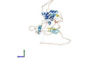 Protein Structure (PS) image for Zinc Finger and BTB Domain Containing 25 (ZBTB25) (AA 1-435) protein (His tag) (ABIN7545425)