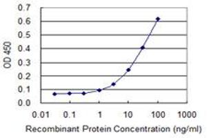 Detection limit for recombinant GST tagged COL5A3 is 0. (COL5A3 antibody  (AA 157-244))