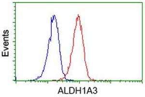 Flow Cytometry (FACS) image for anti-Aldehyde Dehydrogenase 1 Family, Member A3 (ALDH1A3) (AA 1-100), (AA 413-512) antibody (ABIN2715887) (ALDH1A3 antibody  (AA 1-100, AA 413-512))