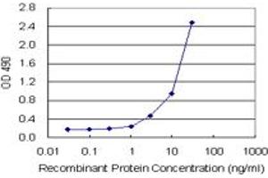 CEACAM1 (Human) Matched Antibody Pair