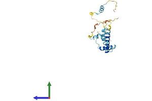 AlphaFold protein structure predicition of Human Recombinant CCDC32 Protein, UniprotID Q9BV29