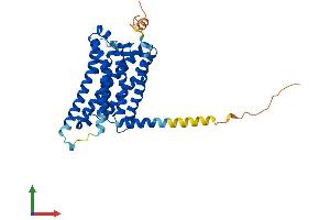 Protein Structure (PS) image for Melatonin Receptor 1A (MTNR1A) (AA 1-353) protein (His tag) (ABIN7557678)
