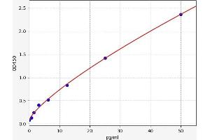 Typical standard curve (Endothelin 2 ELISA Kit)